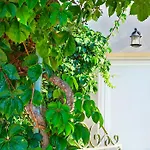 Bay Sami (Kefalonia)