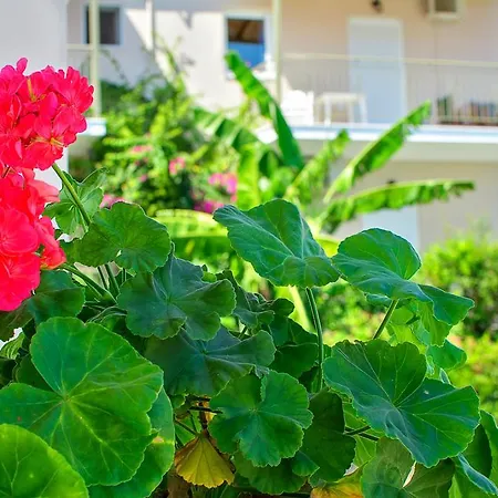 Lägenhetshotell Bay Sami (Kefalonia)