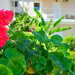 Apartahotel Bay Sami (Kefalonia)